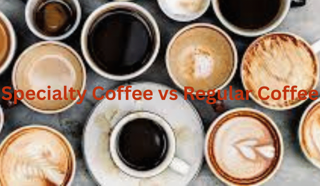 Specialty Coffee vs Regular Coffee — What’s the Real Difference?